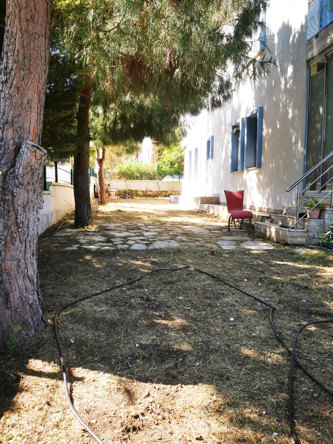 Bahçe ve bitki bakımı hizmeti veriyorum