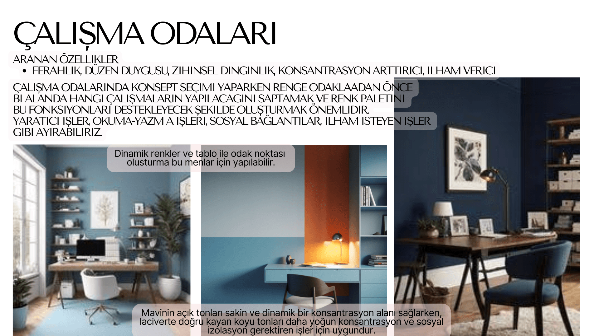 Renk Eğitimi görseli 2