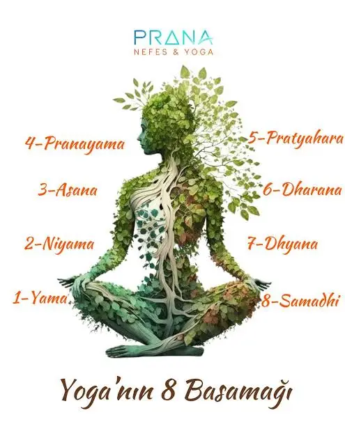 Yoga'nin Sekiz Organı / Teorik Ders
