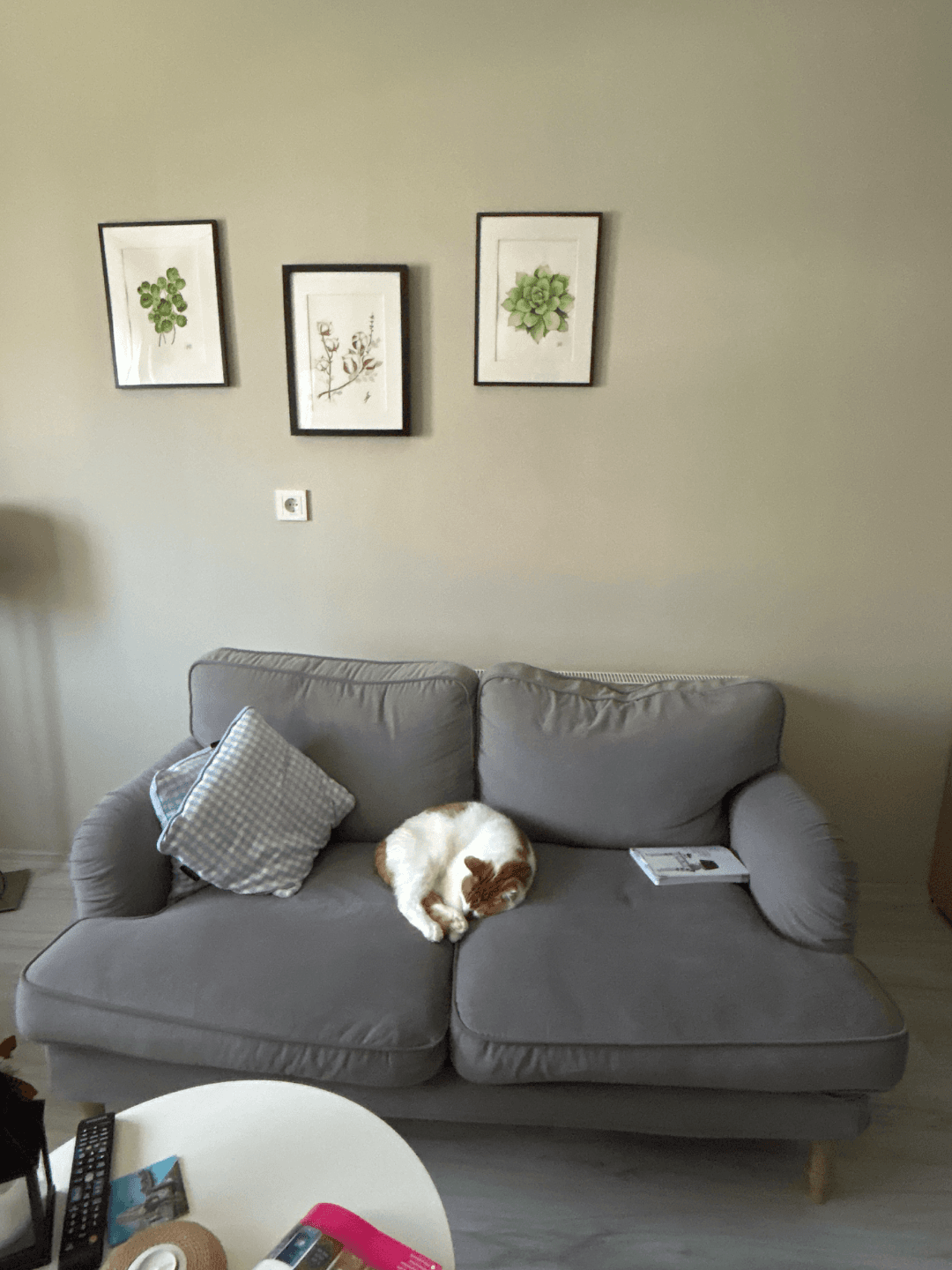 Ikea koltuk
