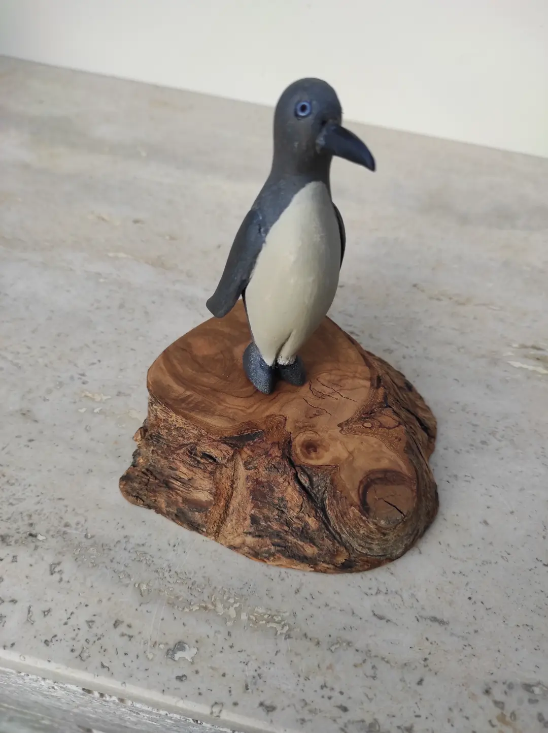 Eşini Foça'da arayan Penguen görseli 9
