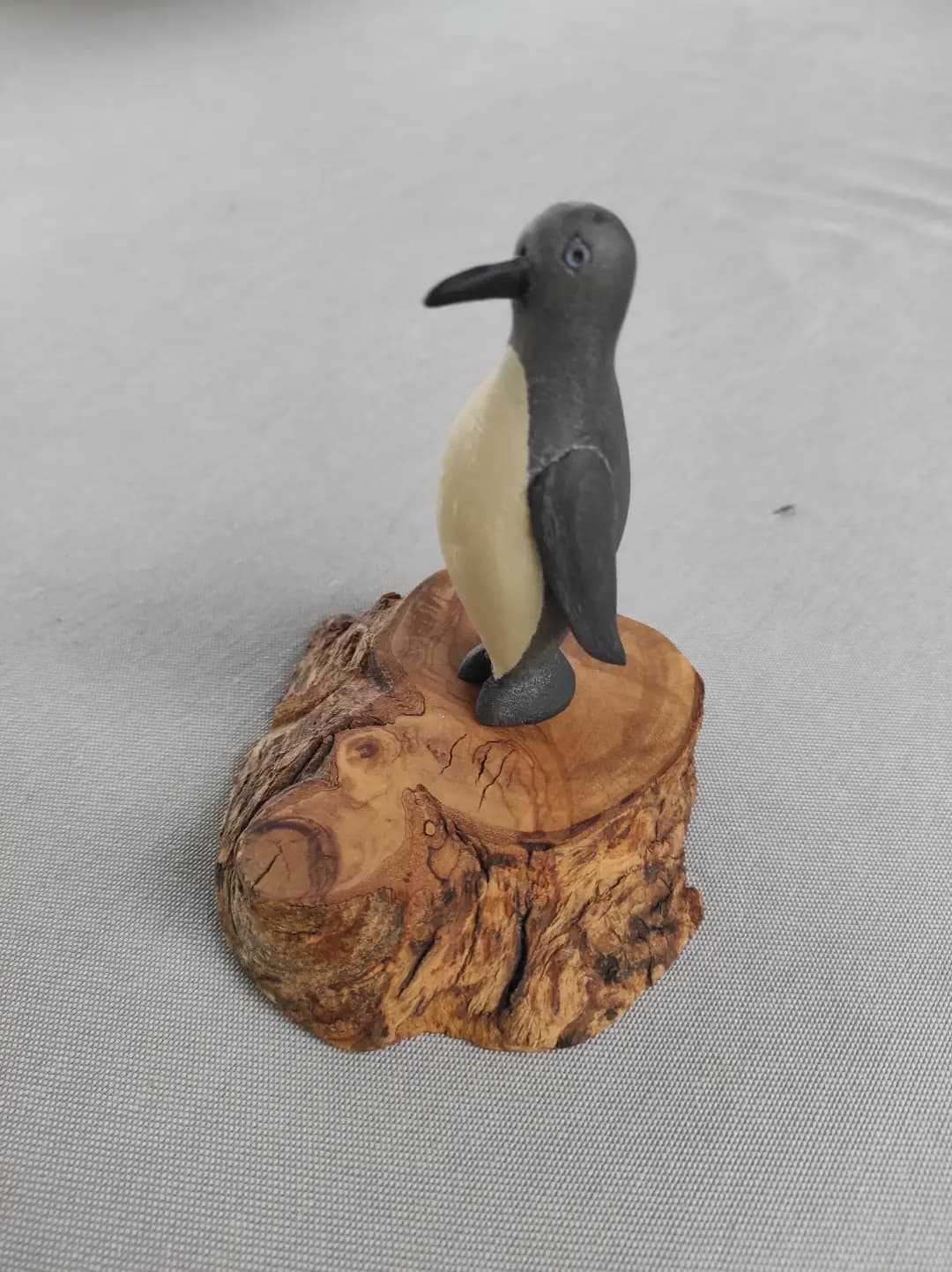 Eşini Foça'da arayan Penguen