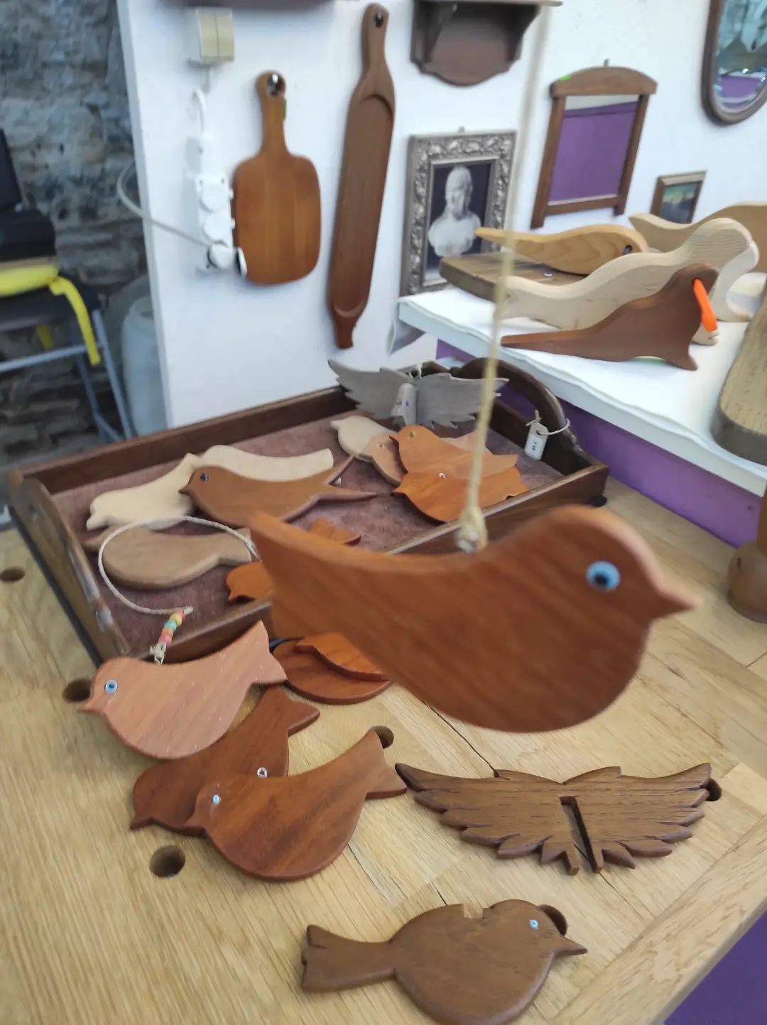Öykü'nün Kuşları