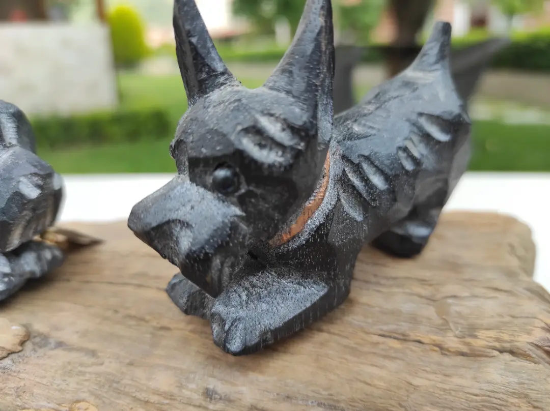 "Scottish Terrier" kardeşler